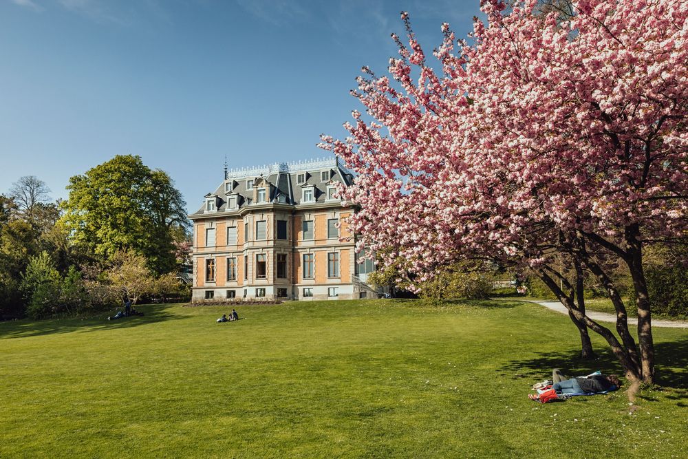 Villa Rychenberg, Stadtführung, Villen und Gärten, House of Winterthur