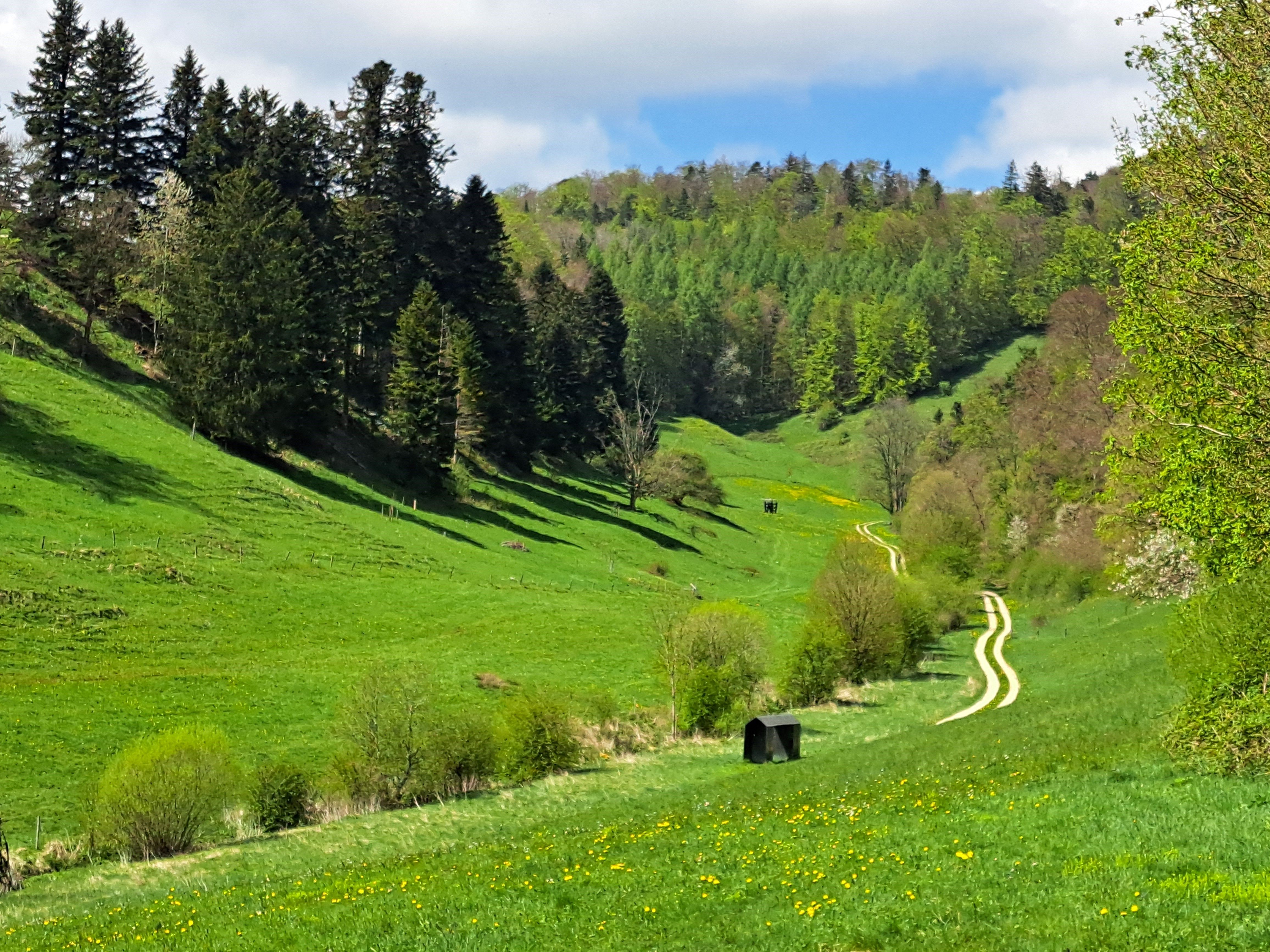 Skulpturenpark Schönthal
