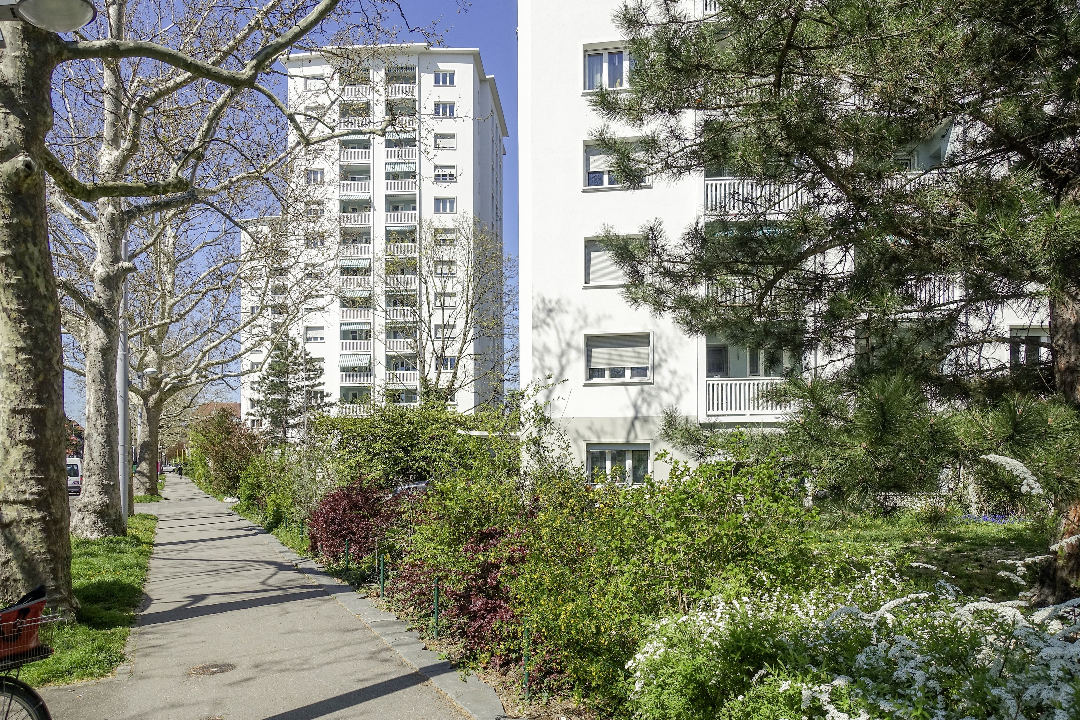 Hochhaus-Diskussion und Stadtplanung am Kannenfeldplatz