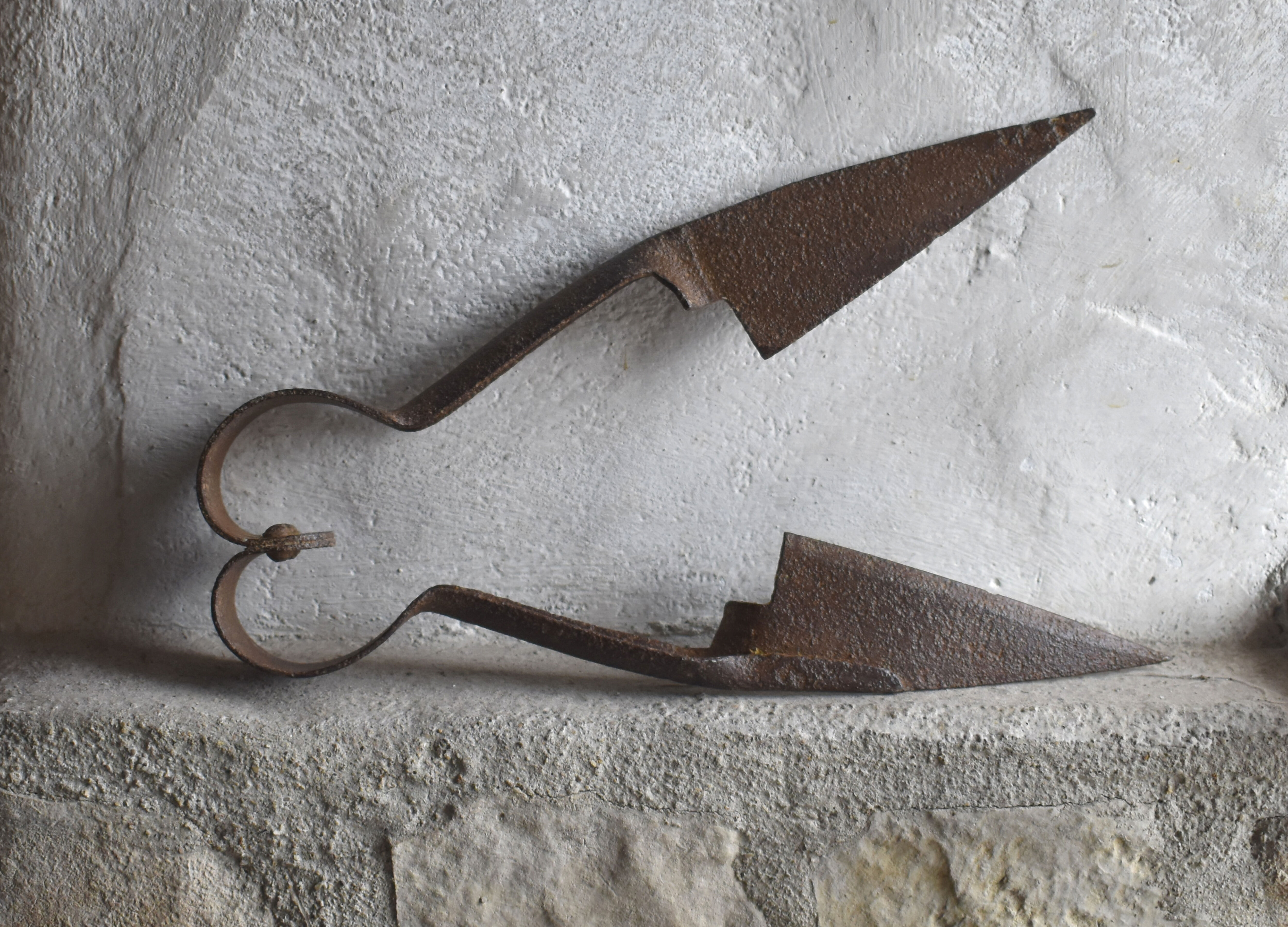 Forces (Ancien outil de coupe) 