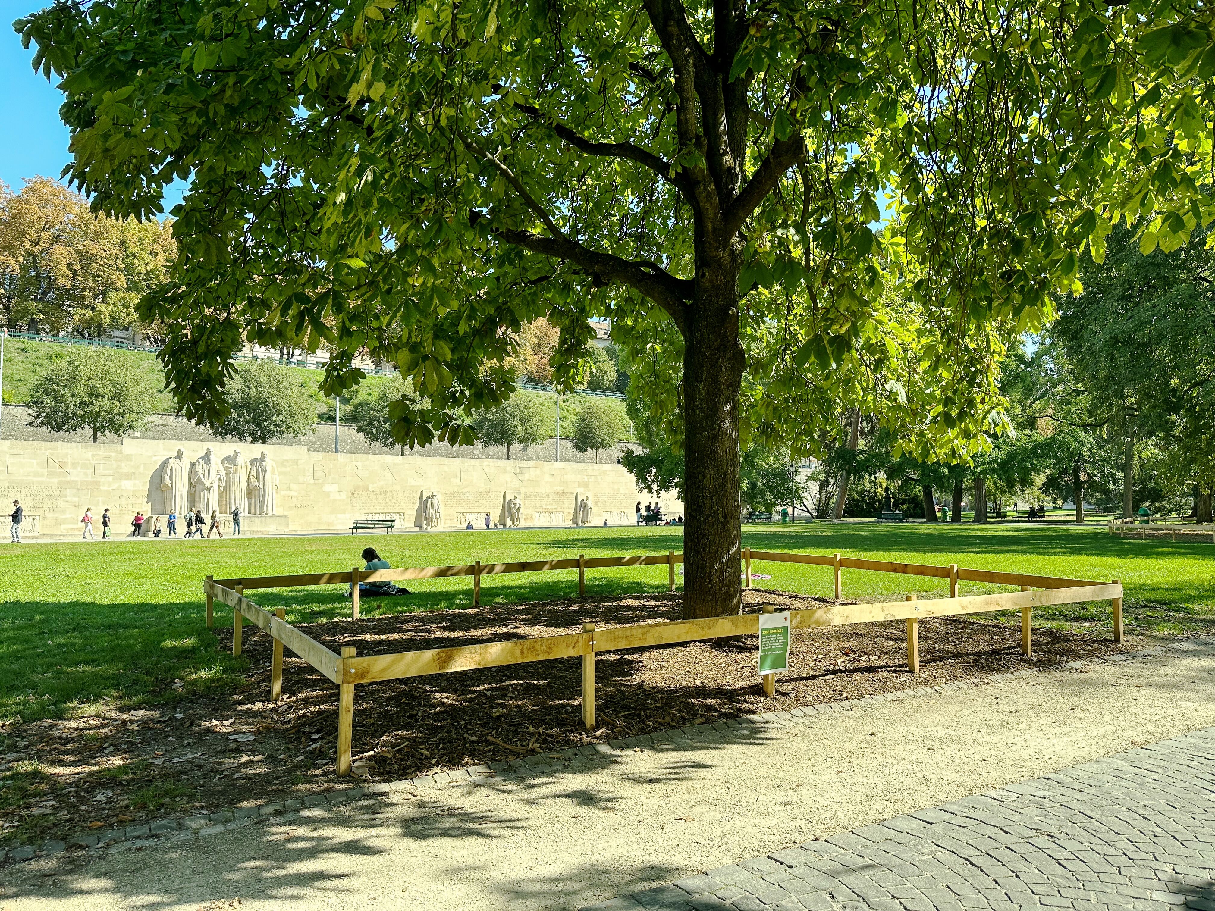 La conservation du patrimoine arboré des parcs urbains est un défi.