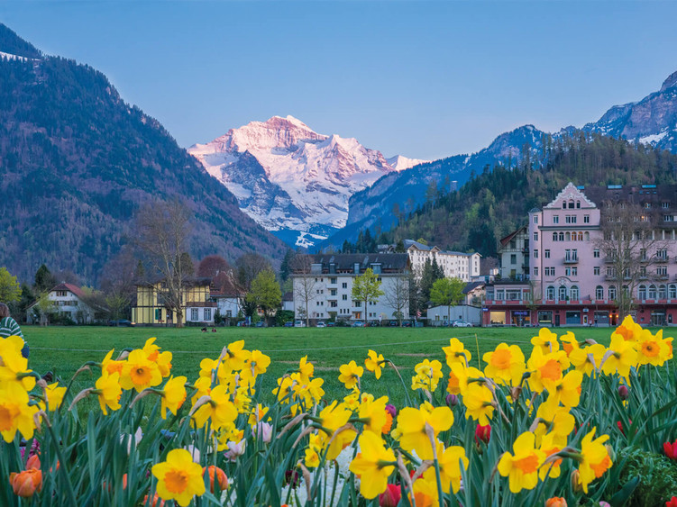 Höhematte Interlaken
