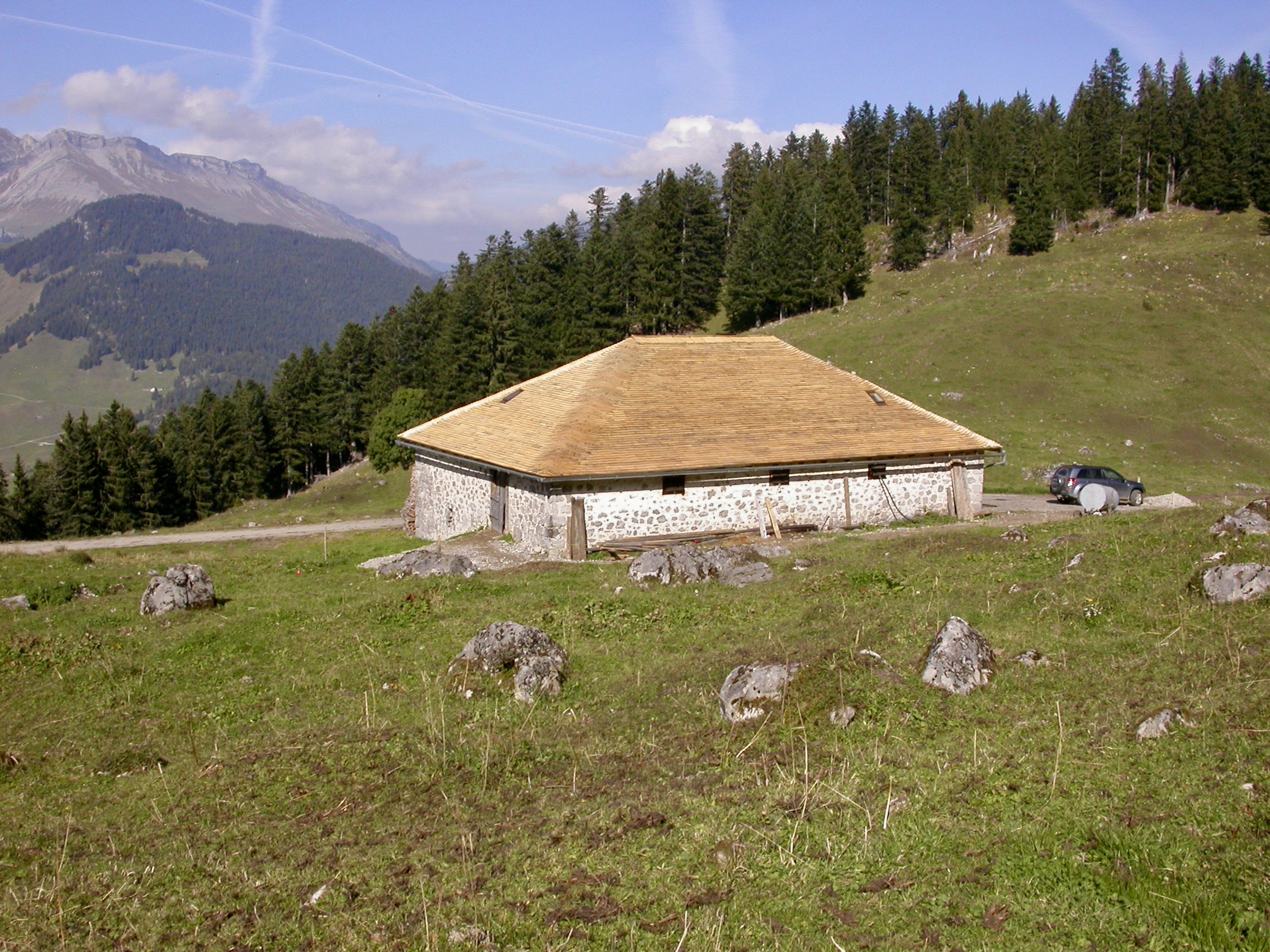 chalet alpage chateau d'oex pays d'enhaut agriculture