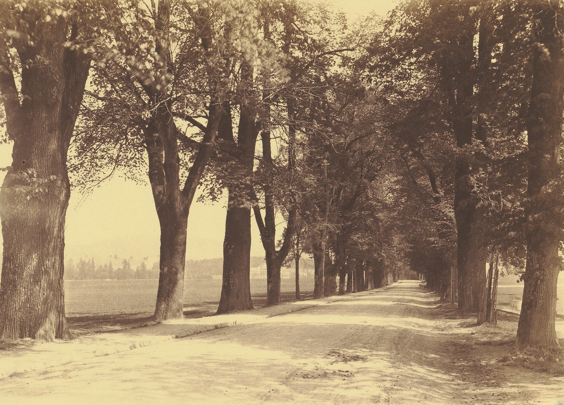 Bolligenstrasse, Allee gegen Waldau, ca. 1907