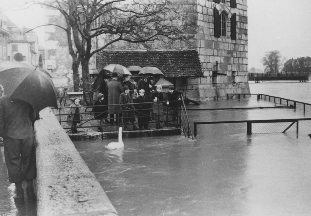 Solothurn, Hochwasser vom 24. November 1944 beim Landhaus, Hochwasser, Klima, Biodiversität, Schwammstadt