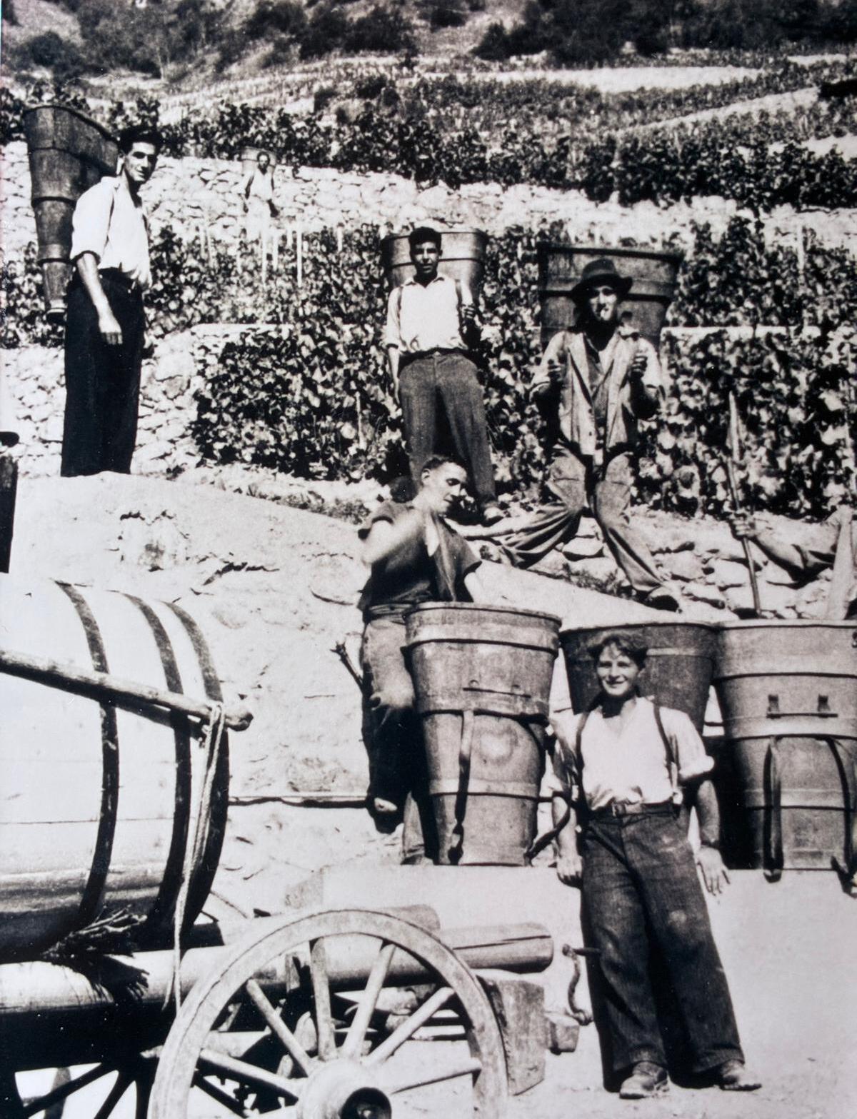 Vendanges à Fully vers 1938