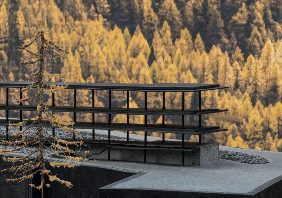 Foto Modell mit Hintergrund